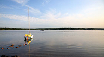 Adamsville Brook & Pond